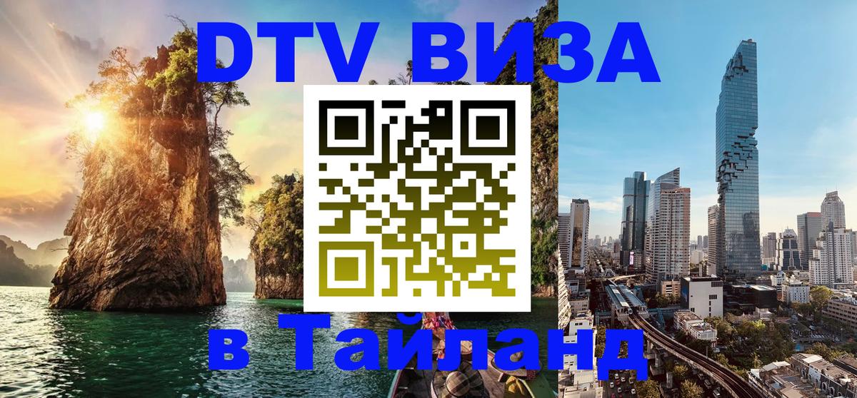 Оформление DTV визы под ключ: стоимость и тарифы, только загранпаспорт - Новошахтинск 